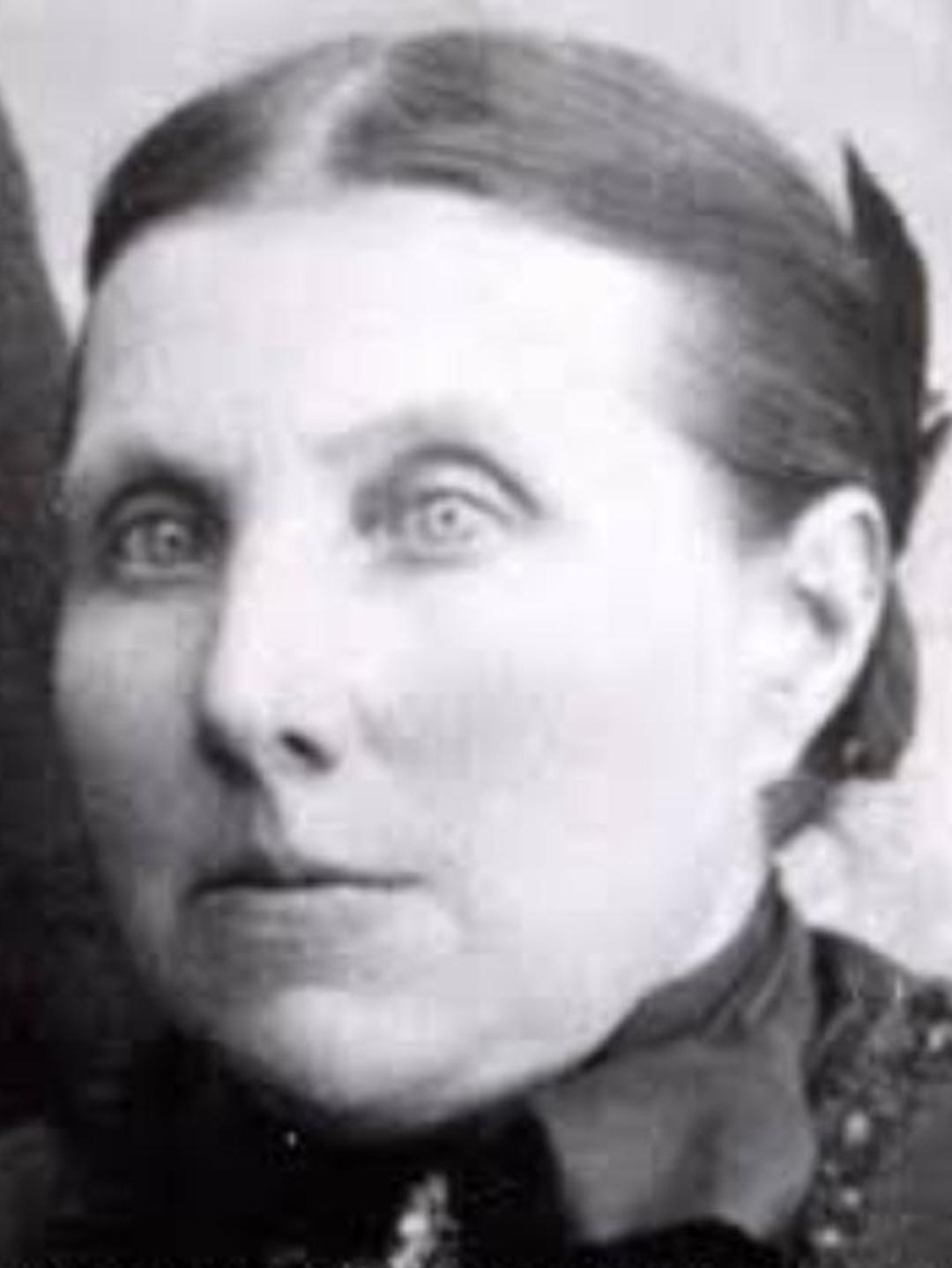 Ellen Jane Thayne (1854 - 1920) Profile